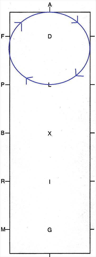 LC1 program TEGNING - ca. ved A Arbejdsgalop til højre 
A Volte - 20 m i diameter billede 9
