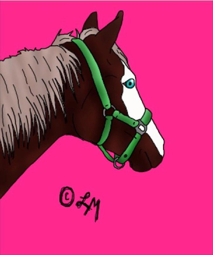 Tegninger - En herinde fra, bad mig engang tegne hendes hest :-) Her er den ;-)  billede 5