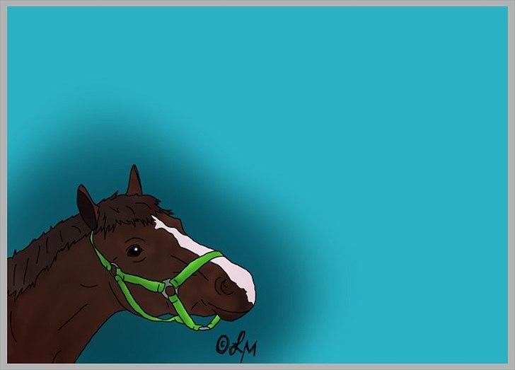 Tegninger - Et forsøg på at tegne en af de rideskoleponyer, der er i Mariager :-) billede 6