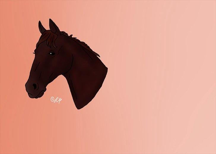 Tegninger - Brun hest billede 9