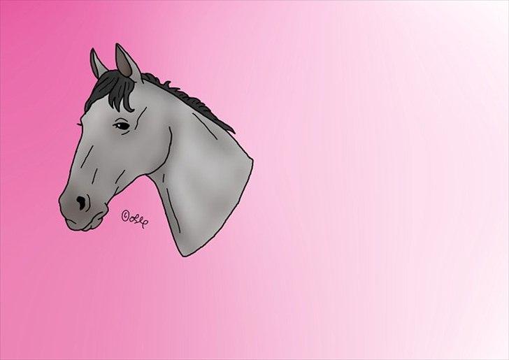 Tegninger - Brun hest skiftede farve til hvid hest! MAGI! billede 10