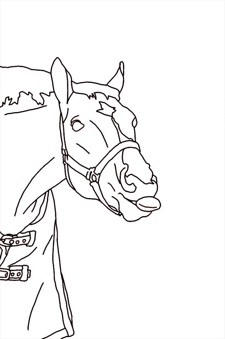 Tegninger - Skitse af en venindes hest :-)  billede 12