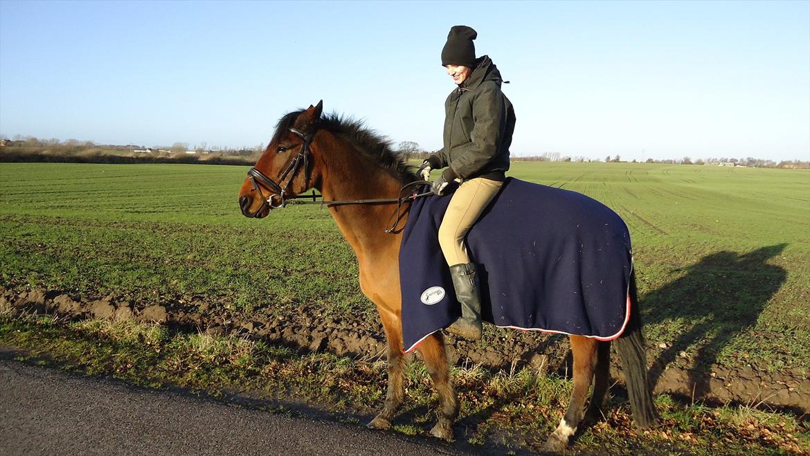 Øffe dyret! billede 1