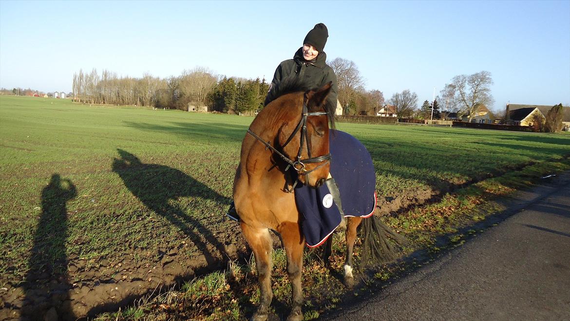 Øffe dyret! billede 2