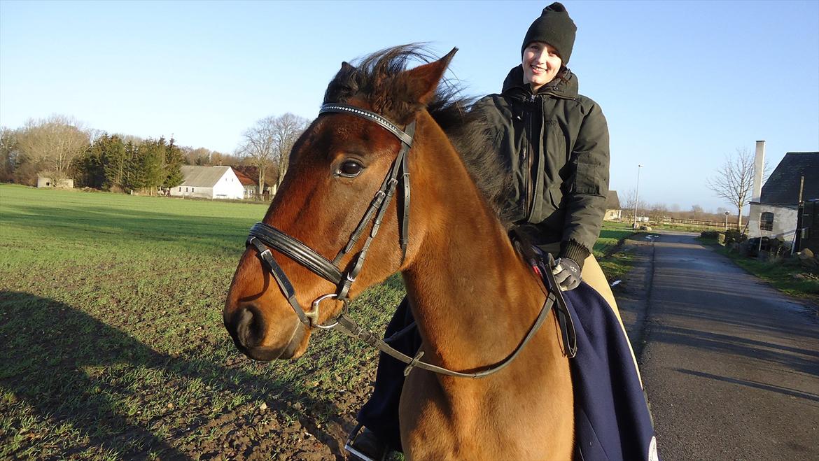 Øffe dyret! billede 3