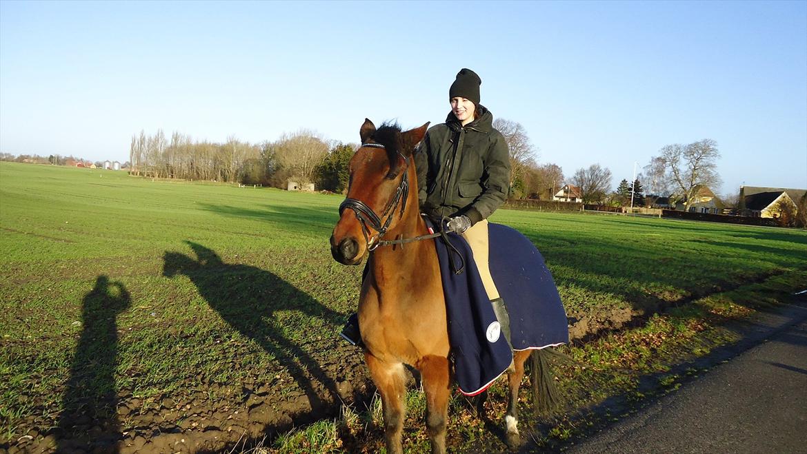 Øffe dyret! billede 4