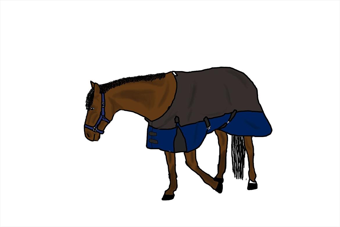 Billeder, tegninger osv. - computertegning :) min første!  billede 4