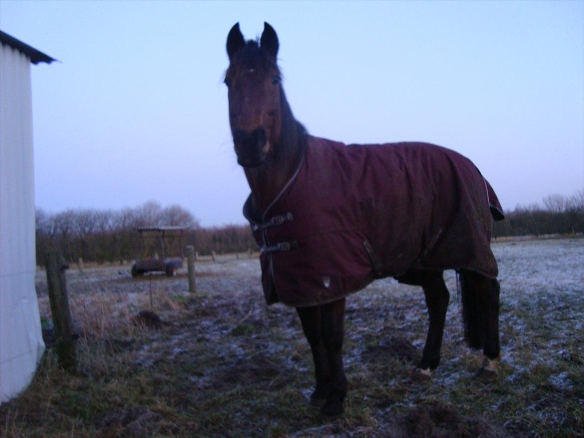 Vores billedebog. - Hvorfor dette billede skulle ind? Tja.... Fordi han er læææækker med sit nyeste vinterdækken, som er beskidt xD Rød er den nye mode xD Eller.. Det var bare den eneste farve de havde den i, så der var ikke så meget at vælge imellem xD Rød eller rød... Hmm... Rød! :-D  billede 21