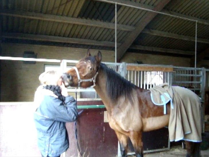 Vores billedebog. - Miiiiiiiin hest har læææært at kyyyyysse på komando! :-D Jeg er ret stolt af ham :-D Han er super saaaaaaaaj til det trick, hvilket også er det eneste, ud over bakke, som han kan på komando ;-* Thiihh <3 Den lille cirkushest xD billede 22