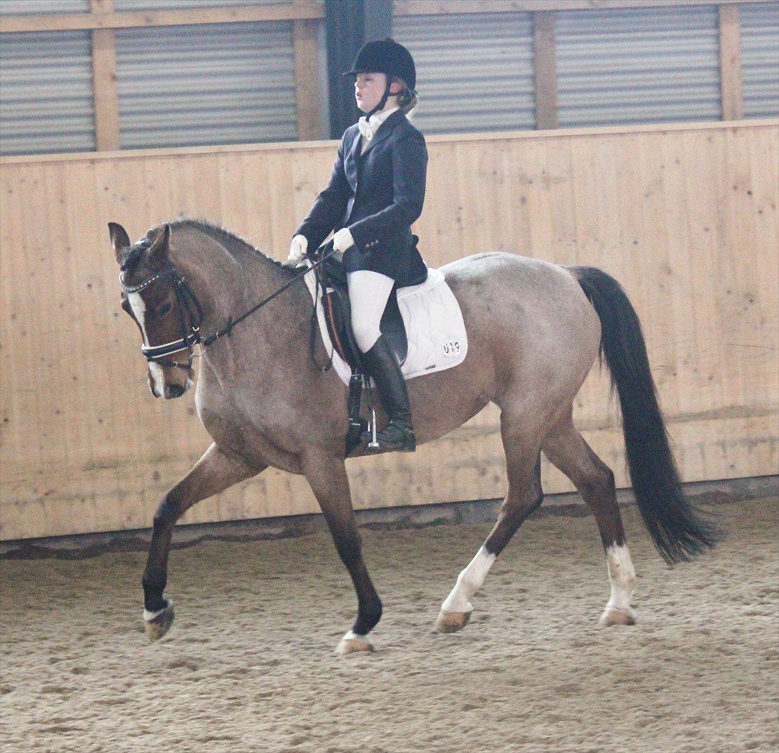 Nørre åby rideklub 2012 billede 1