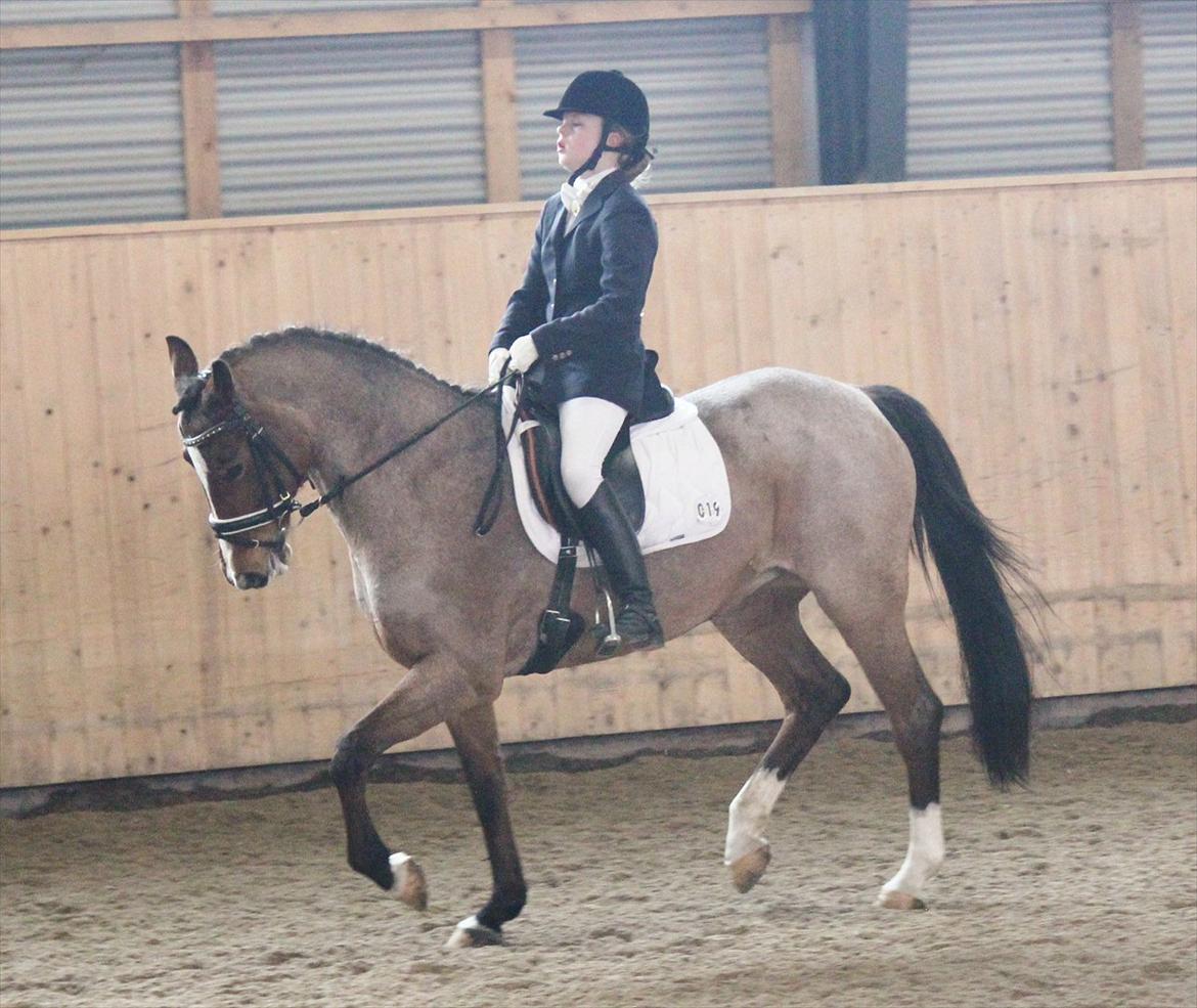 Nørre åby rideklub 2012 billede 2