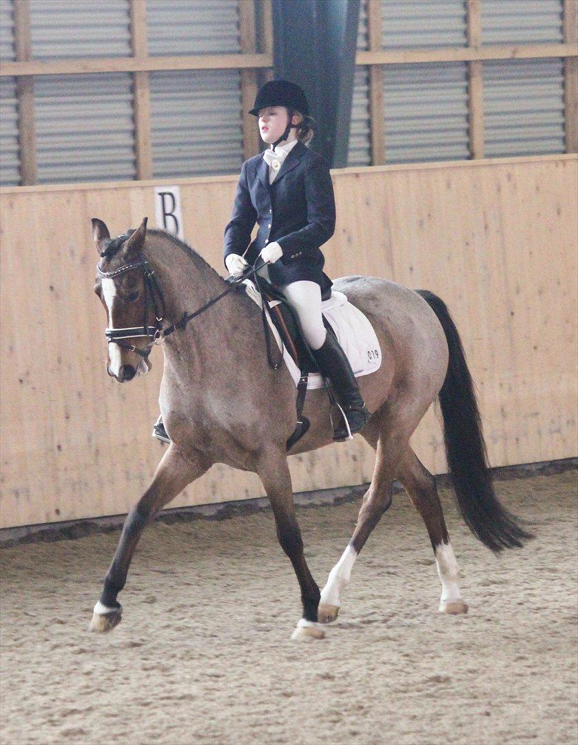 Nørre åby rideklub 2012 billede 3