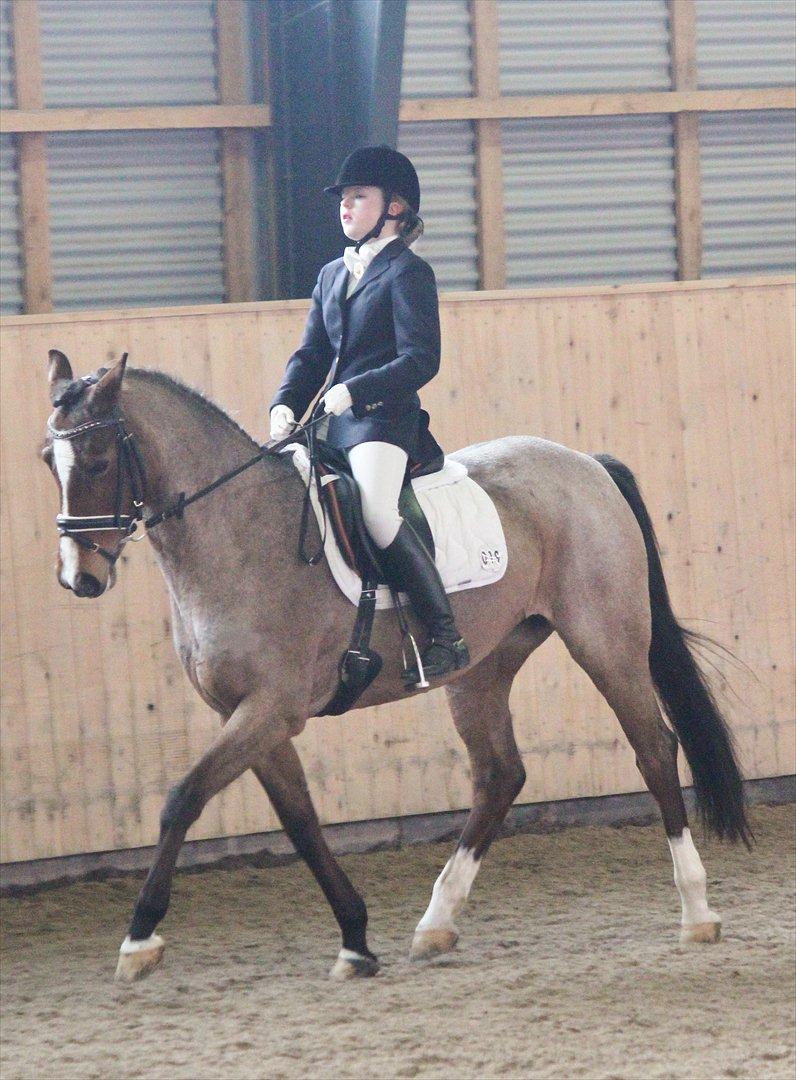 Nørre åby rideklub 2012 billede 4