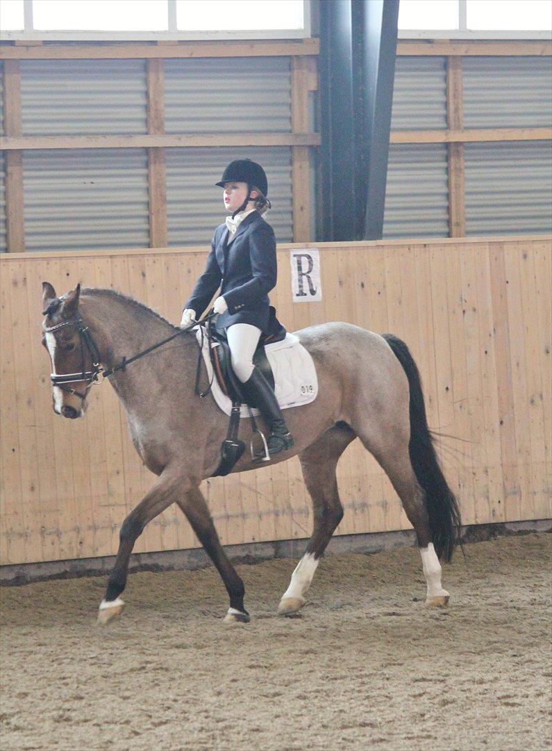 Nørre åby rideklub 2012 billede 5