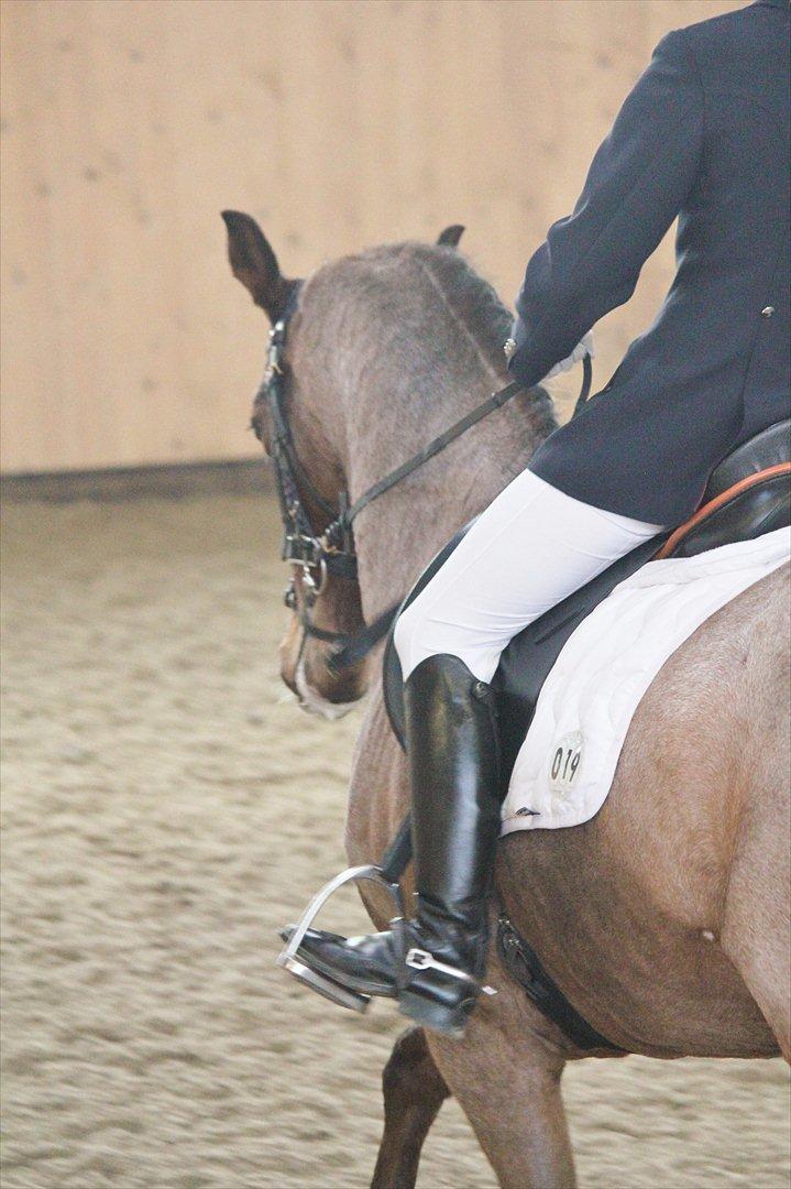 Nørre åby rideklub 2012 billede 6