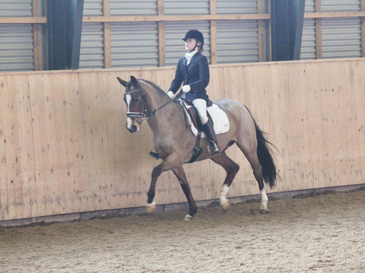 Nørre åby rideklub 2012 billede 7