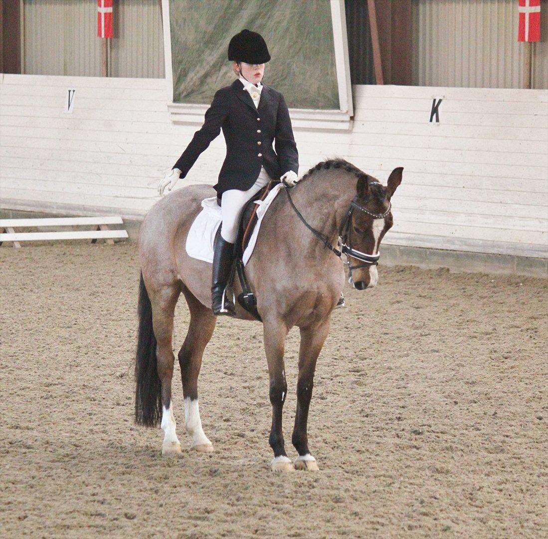 Nørre åby rideklub 2012 billede 9