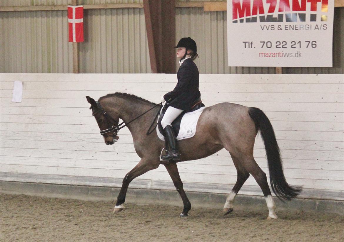 Nørre åby rideklub 2012 billede 10