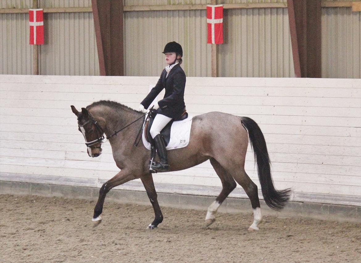 Nørre åby rideklub 2012 billede 11