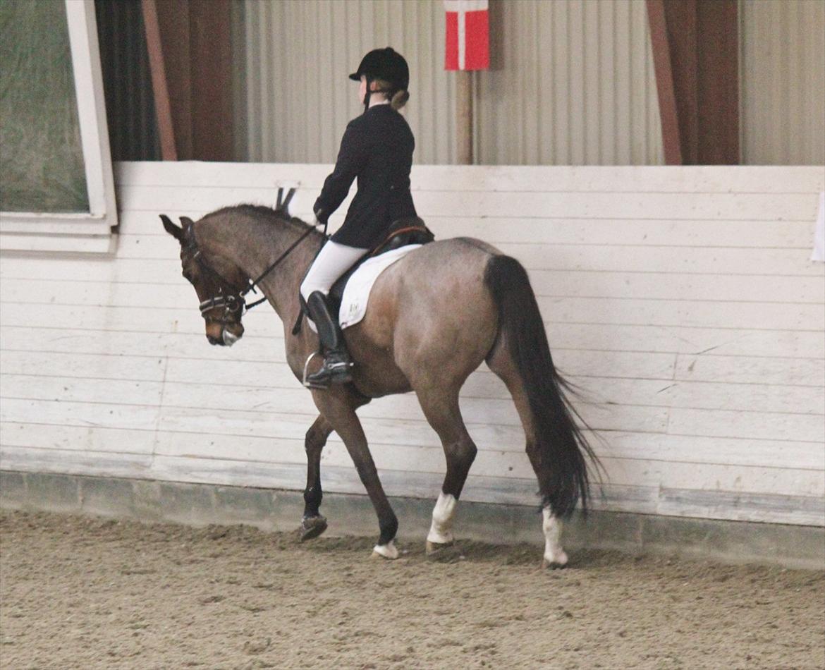 Nørre åby rideklub 2012 billede 12