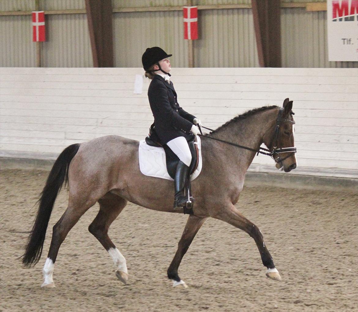 Nørre åby rideklub 2012 billede 13