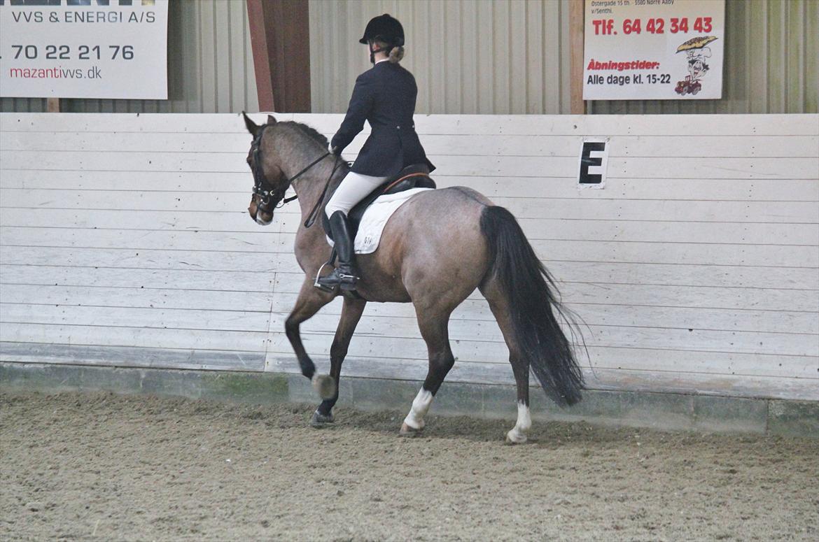 Nørre åby rideklub 2012 billede 14