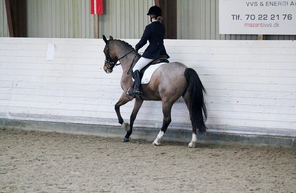 Nørre åby rideklub 2012 billede 15