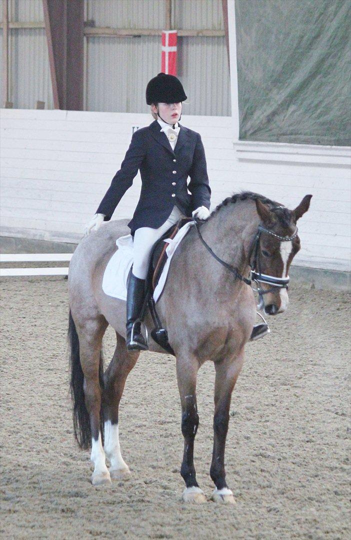 Nørre åby rideklub 2012 billede 16