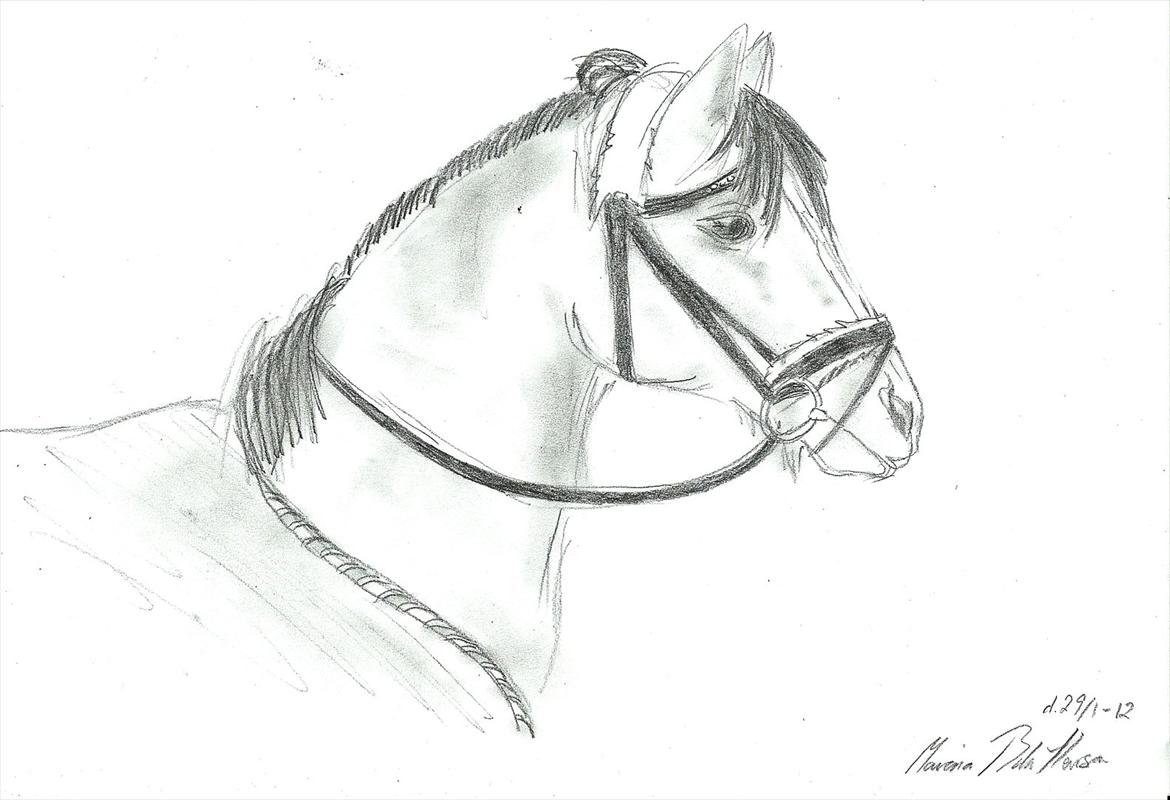 Tegninger :D   - Tegning til ""Malene JBFB<3 " :) Undskyld ventetiden BTW xD 
Tegnet søndag d. 29. januar 2012 billede 63