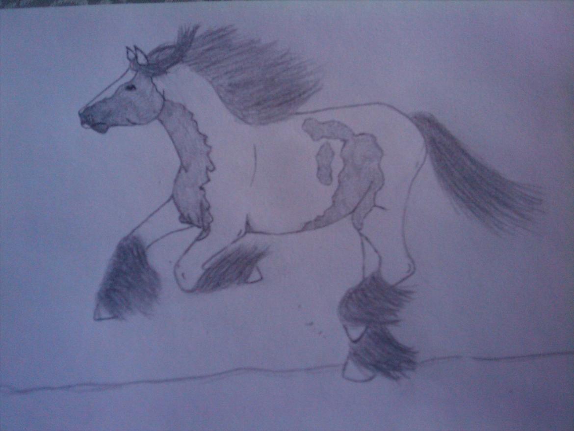 De 2 nyeste tegne projekter. Gypsy vanner og Galopheste billede 2