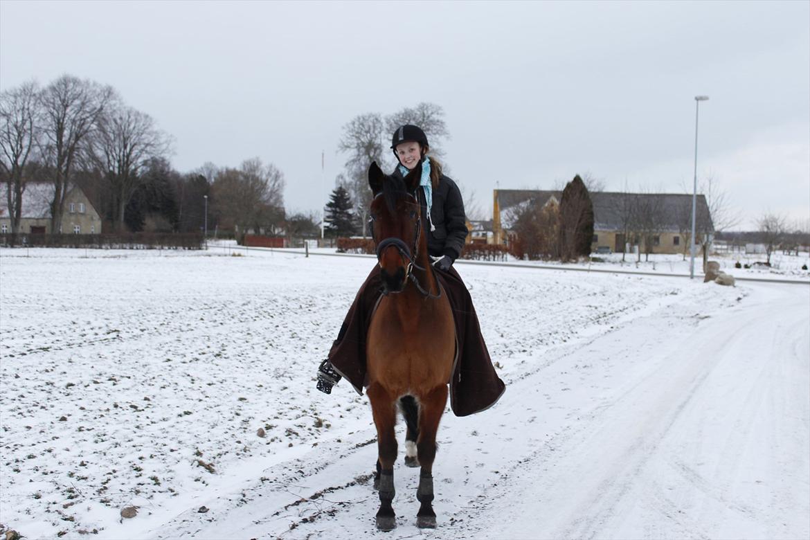 Øffe dyret! billede 10