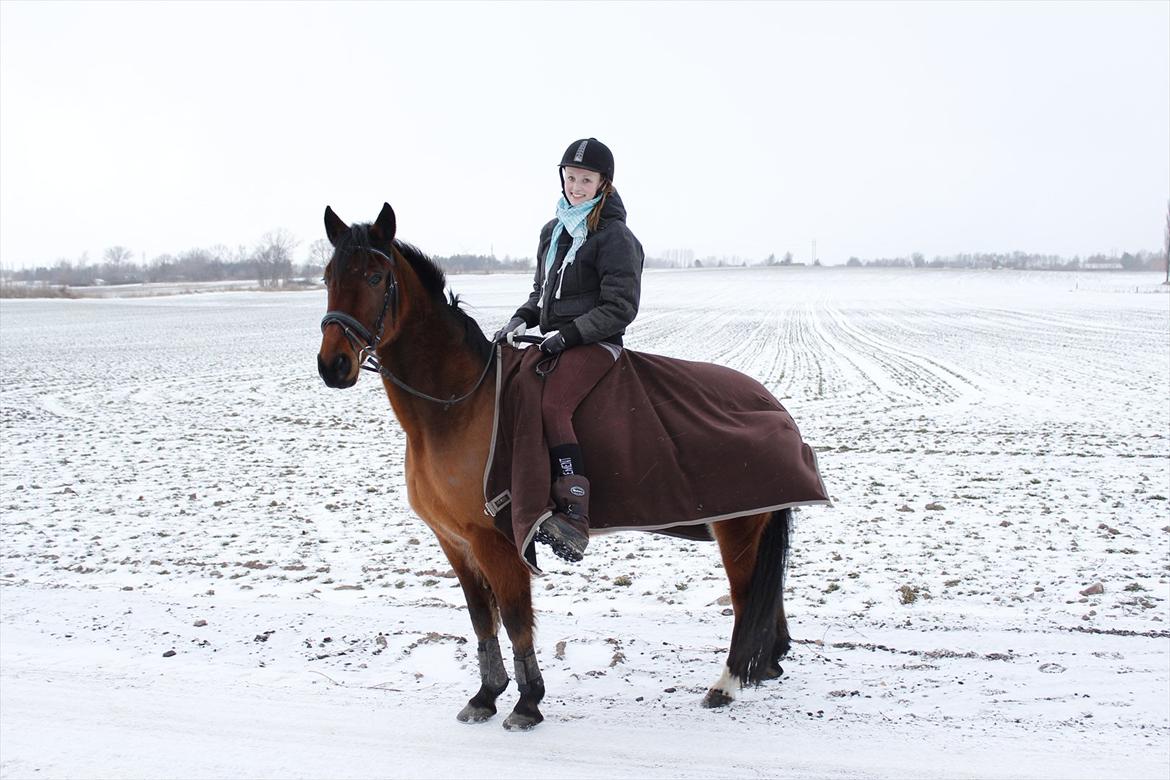 Øffe dyret! - Smuk, smukkere Øffe <3 billede 12