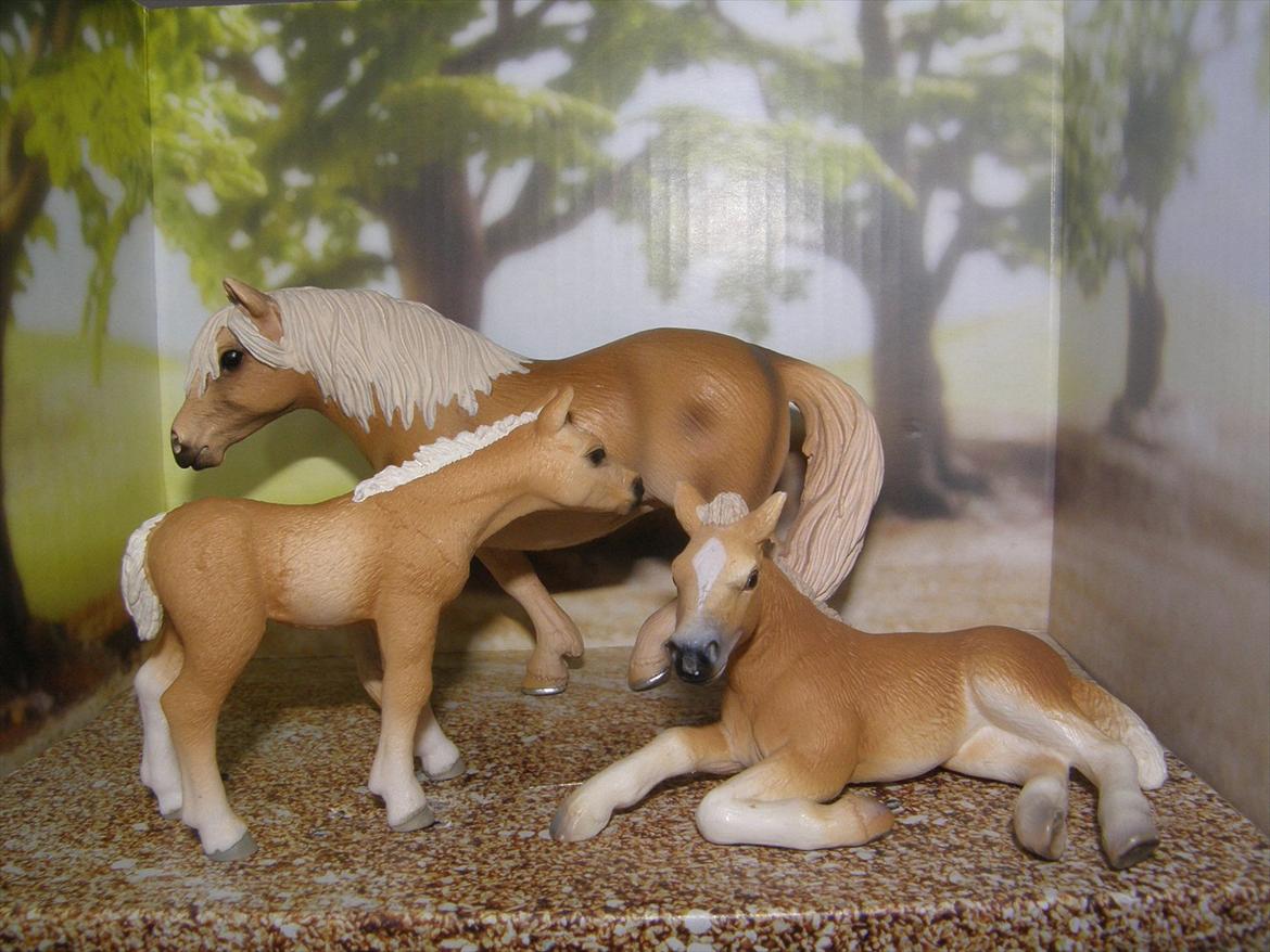 Mine Schleich Dyr - Navn: Lilly Doe. Race: Haflinger. Køn: Hoppe. Alder: 7 år. Navn: Hindbærgårdens Harry Potter (liggende) Race: Haflinger. Køn: Hingst. Alder: 8 mdr. Stamtavle: Mor: Lilly Doe. Far: Sir James. Navn: Hindbærgårdens Ginny (stående). Race: Haflinger. Køn: Hoppe. Alder: 3 døgn. Stamtavle: Mor: Miss W (Adopteret af Lilly) Far: Ukendt billede 135