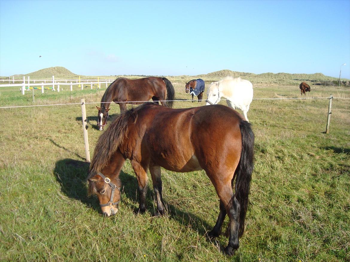 Isabella (Til Nanna) billede 6