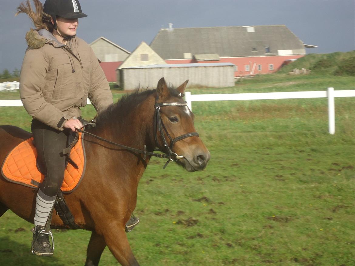 Isabella (Til Nanna) billede 10