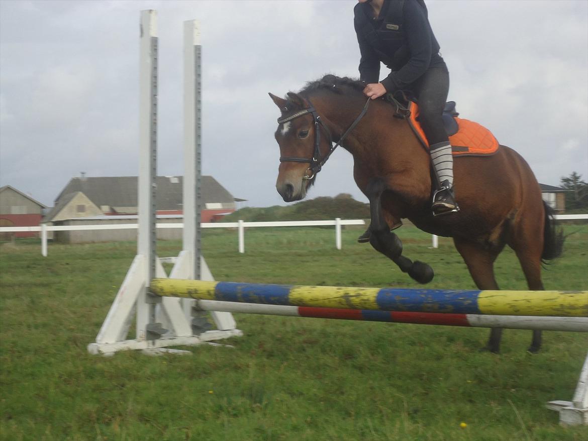 Isabella (Til Nanna) billede 14