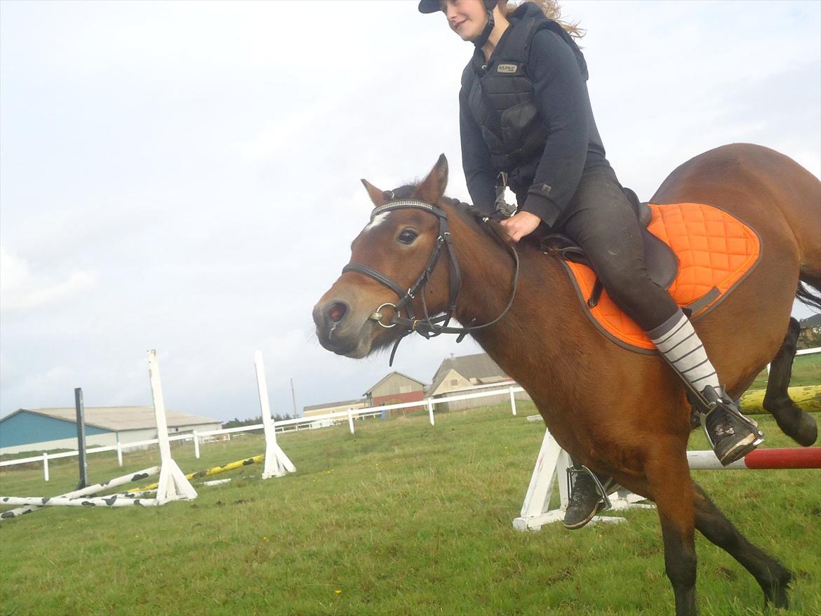 Isabella (Til Nanna) billede 15