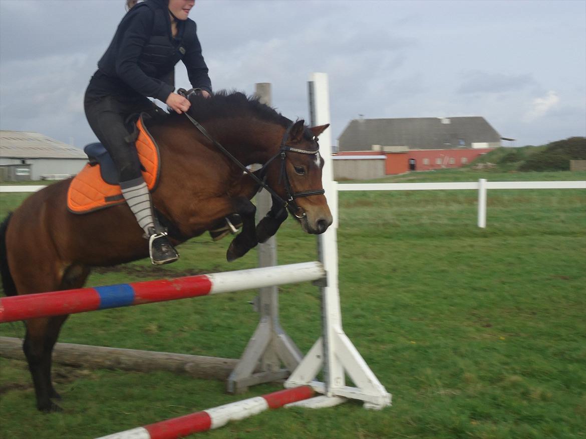 Isabella (Til Nanna) billede 20