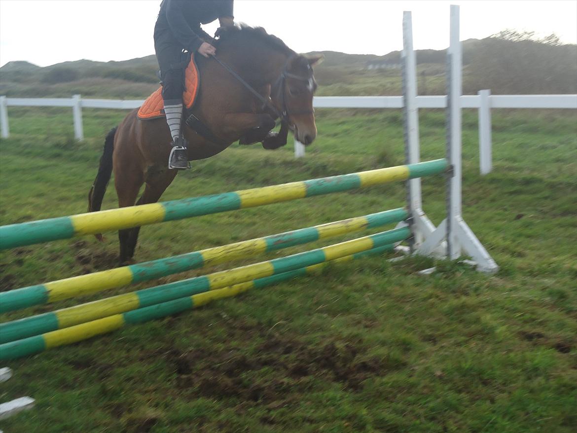 Isabella (Til Nanna) billede 22