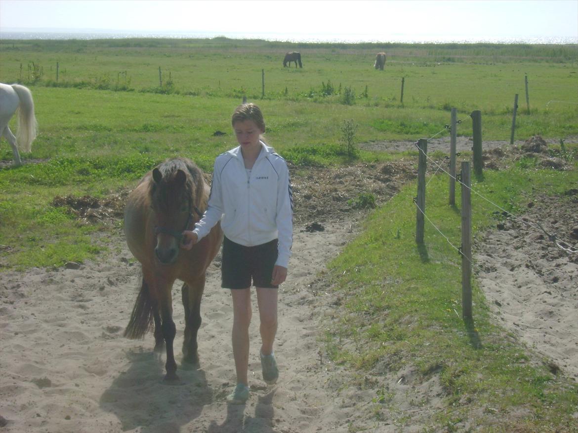 Isabella (Til Nanna) billede 23