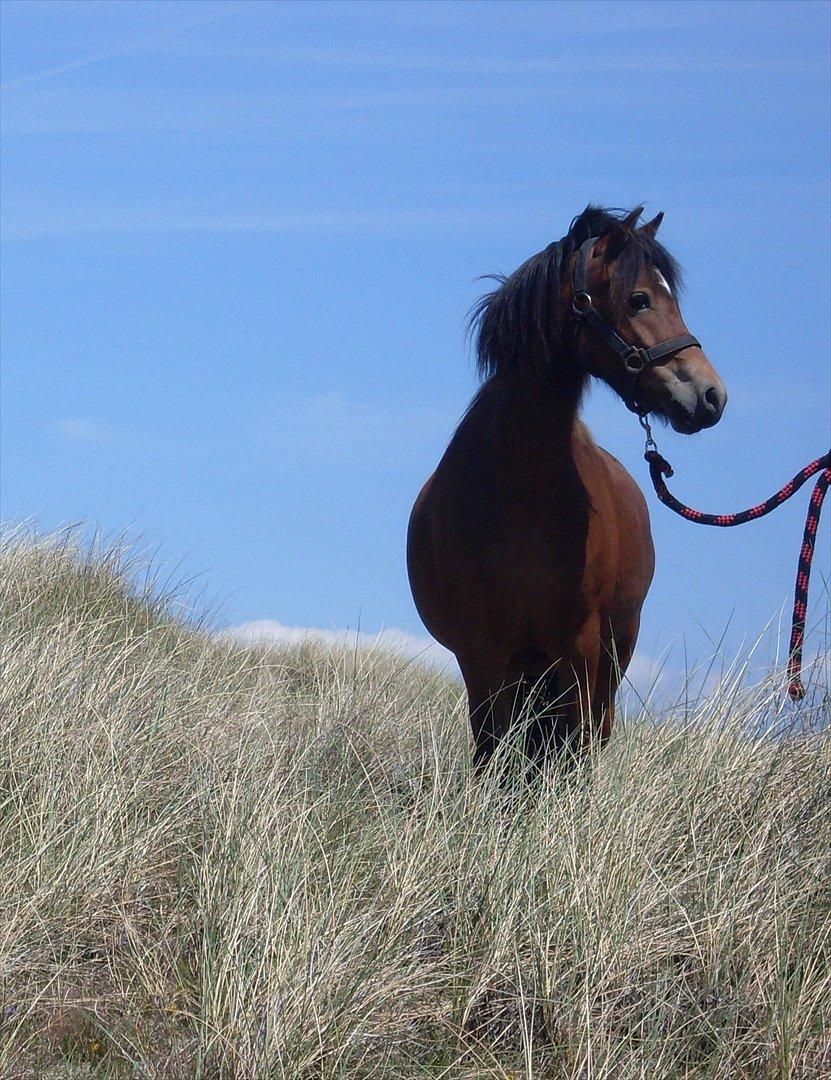 Isabella (Til Nanna) billede 26