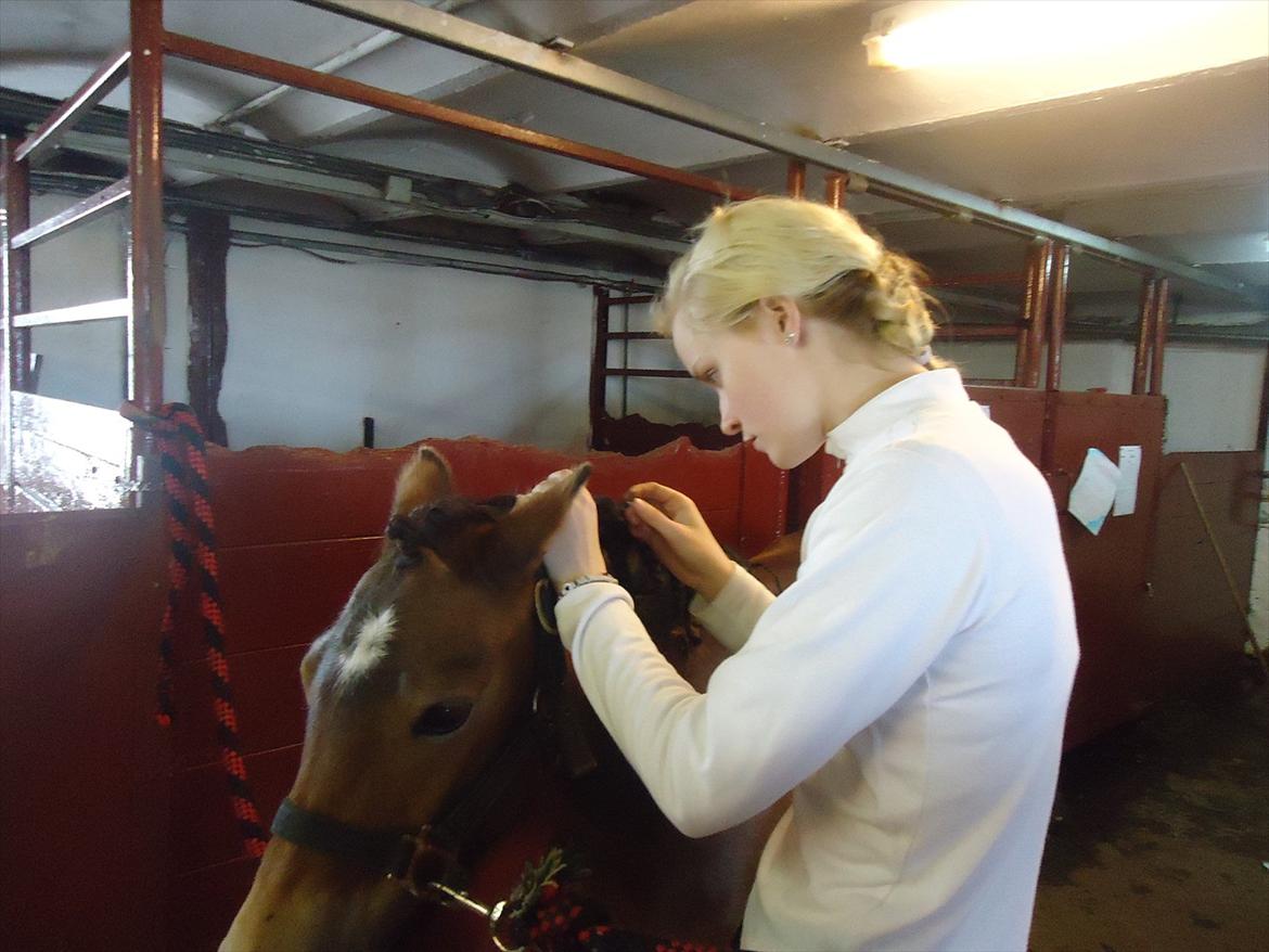 Isabella (Til Nanna) billede 28