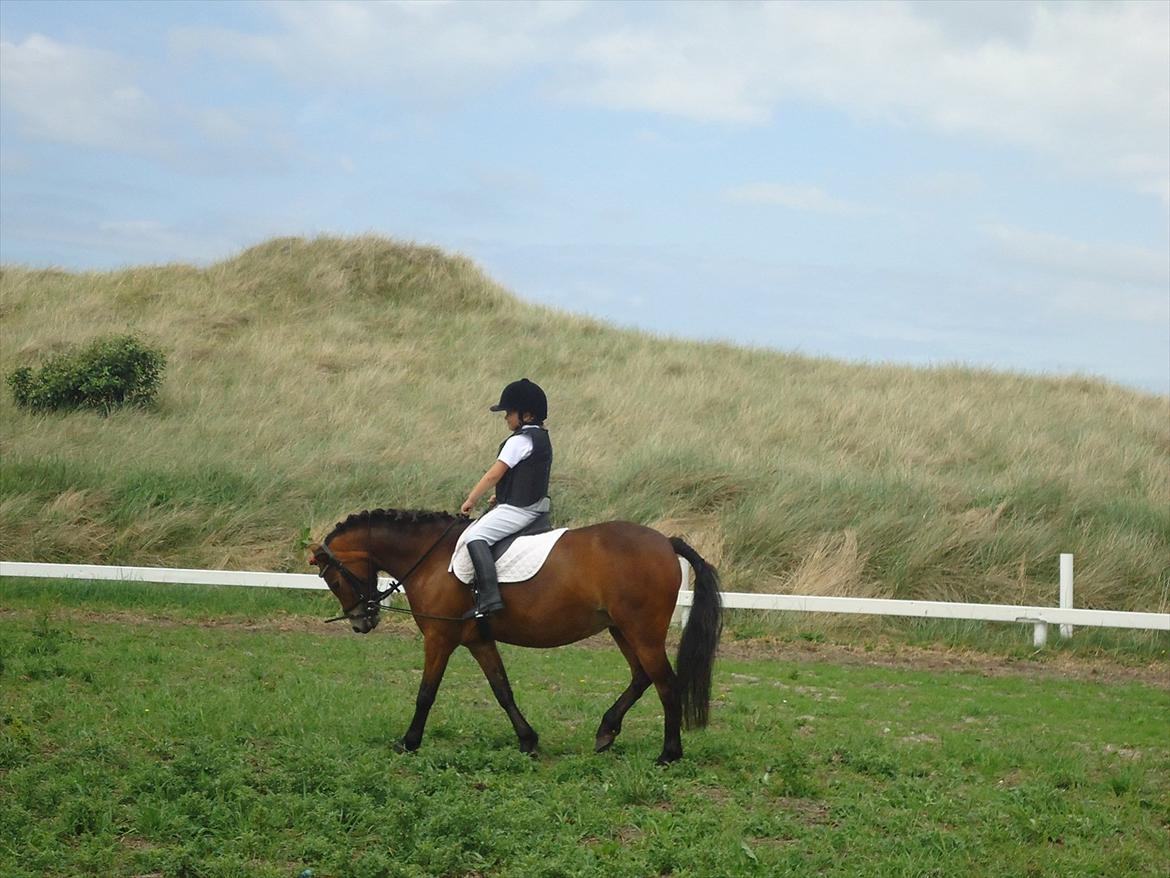 Isabella (Til Nanna) billede 31