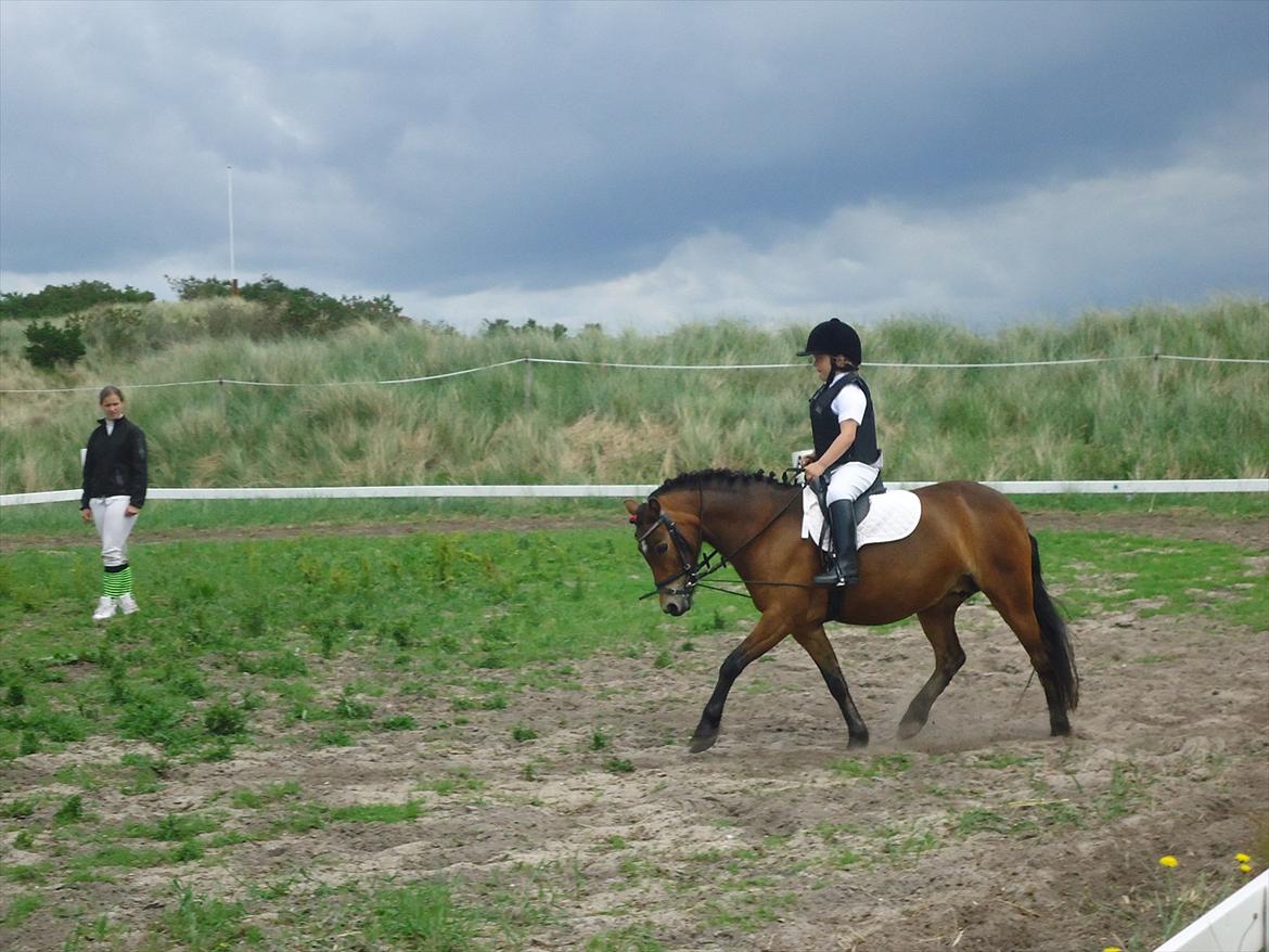 Isabella (Til Nanna) billede 32