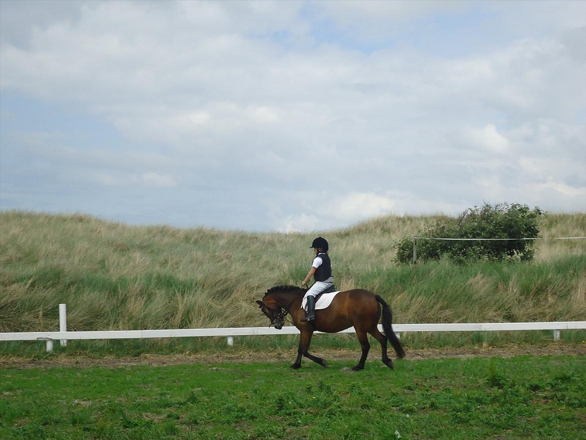 Isabella (Til Nanna) billede 33