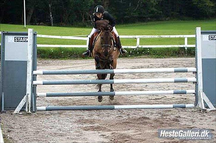 Billeder, tegninger osv. billede 2