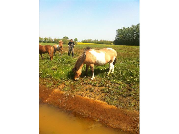 {{currentPhoto.altText}} billede {{currentPhoto.number}}