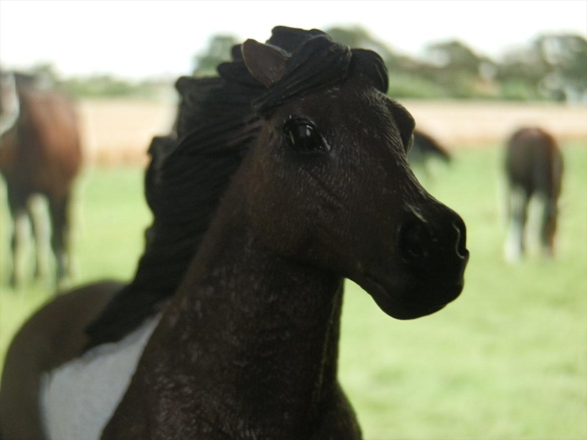 12 NYE SCHLEICH HESTE 2012 [SCHLEICH] - islænder hingst(Lando) billede 1