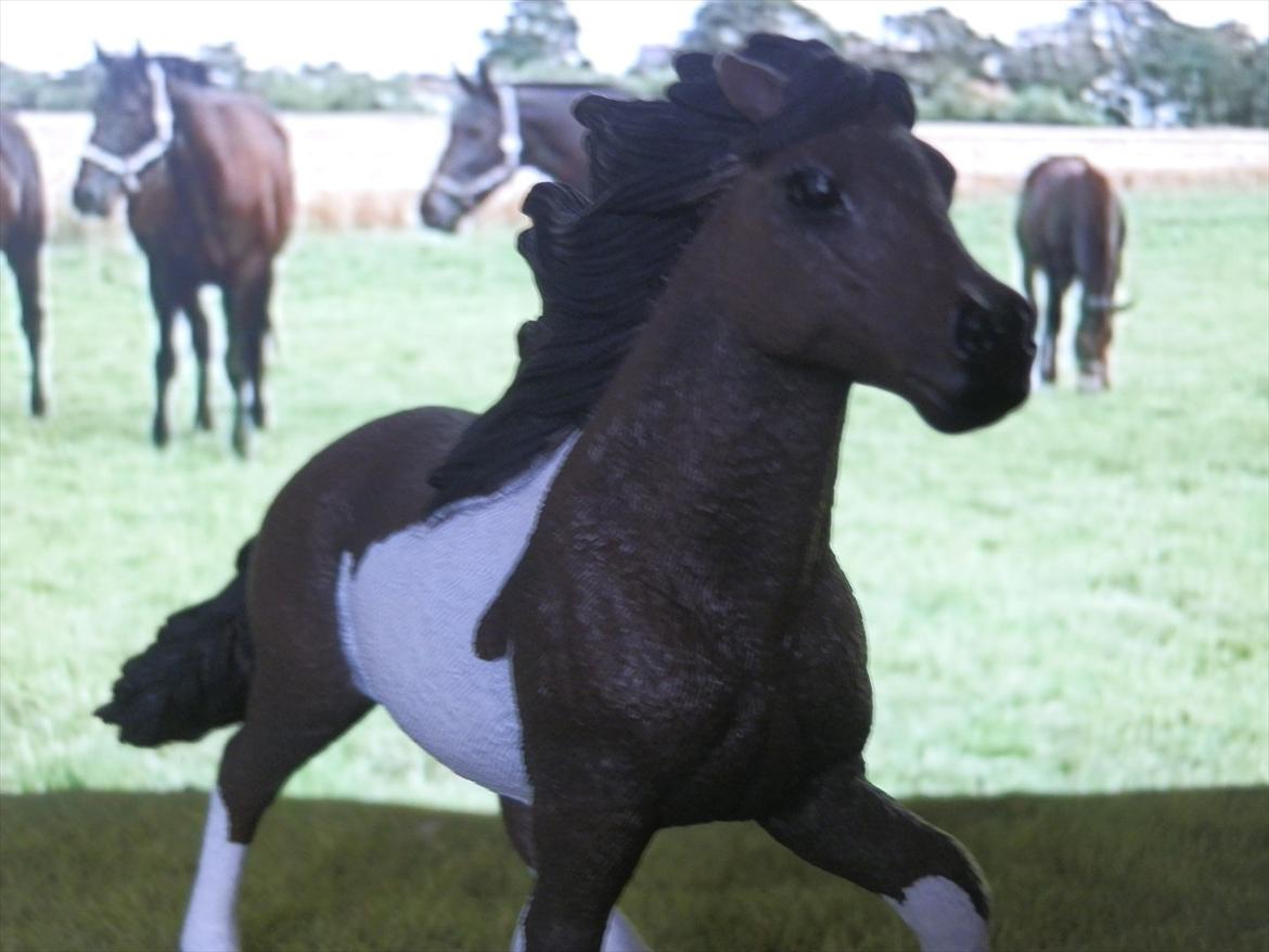 12 NYE SCHLEICH HESTE 2012 [SCHLEICH] - islænder hingst(Lando) billede 2