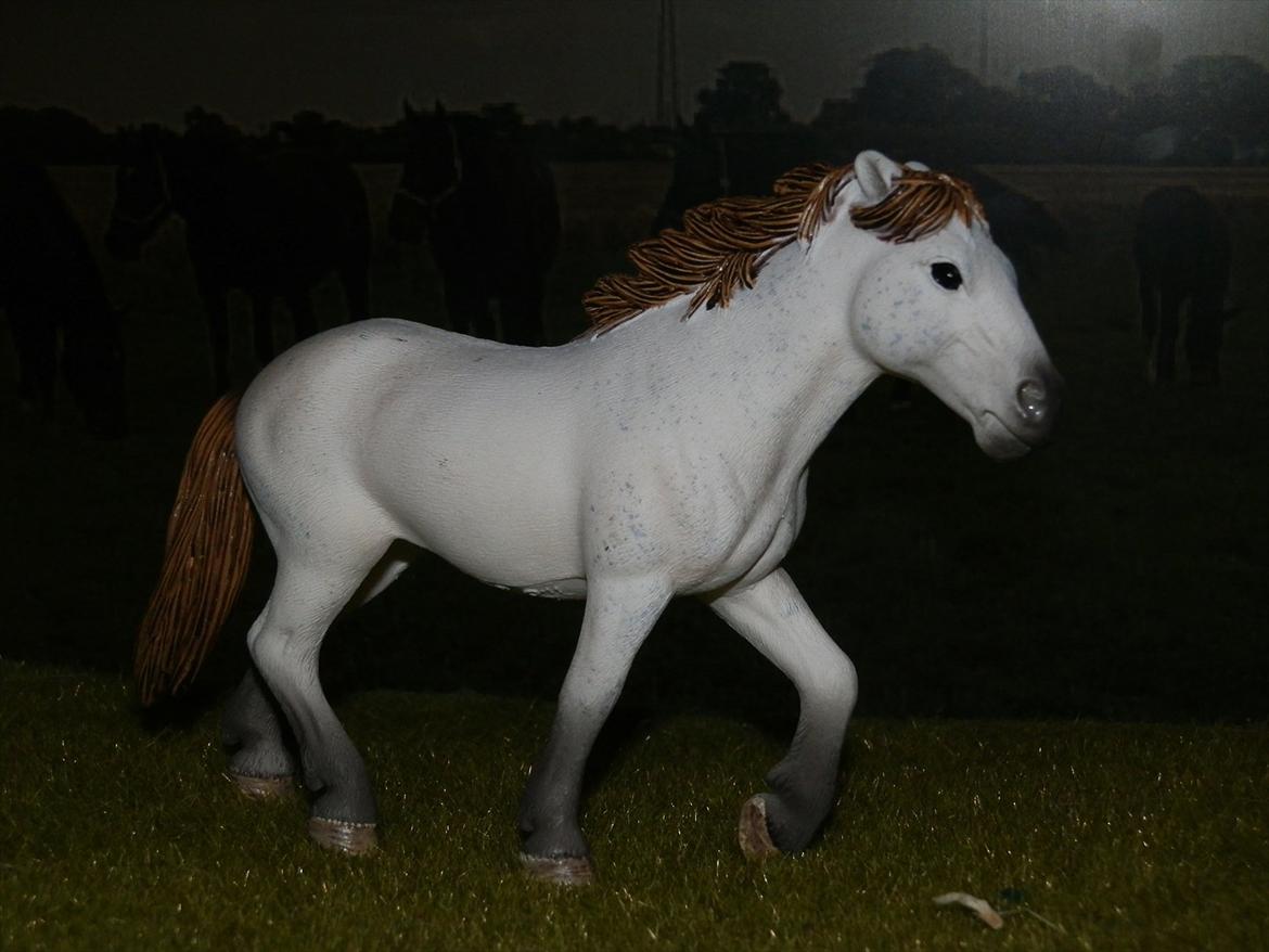 12 NYE SCHLEICH HESTE 2012 [SCHLEICH] - Camargue hoppe (Jeva) billede 3